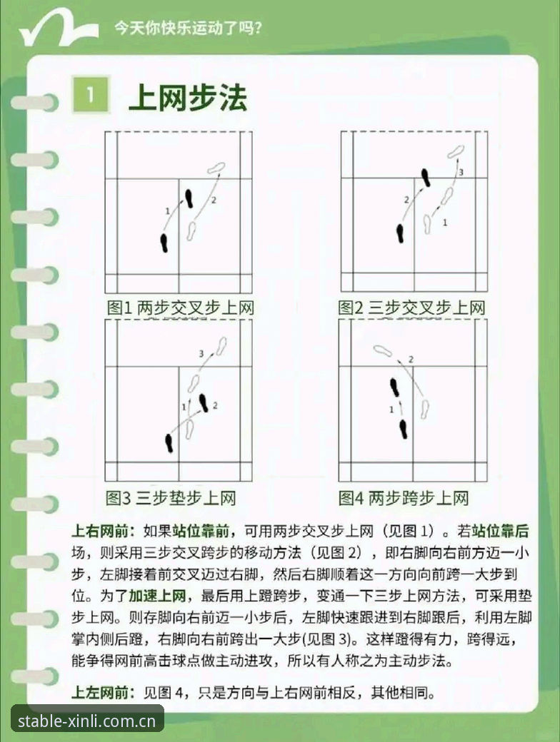 新利体育官网怎么用才不踩坑？老玩家私藏的稳定入口使用指南